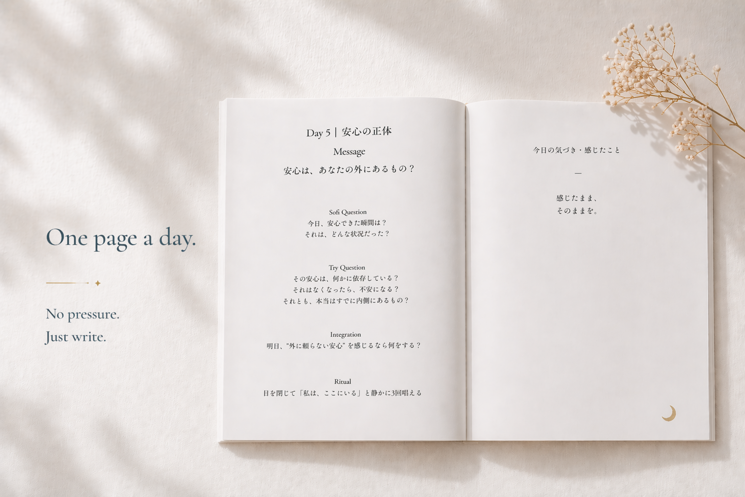 AMATERASU｜7日間でわたしに還る